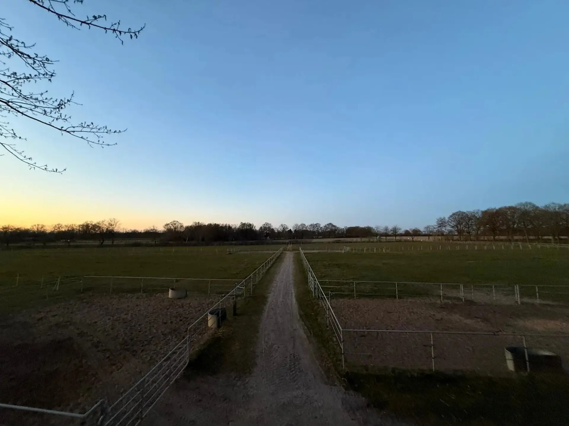 Weg und Weiden bei Abendlicht