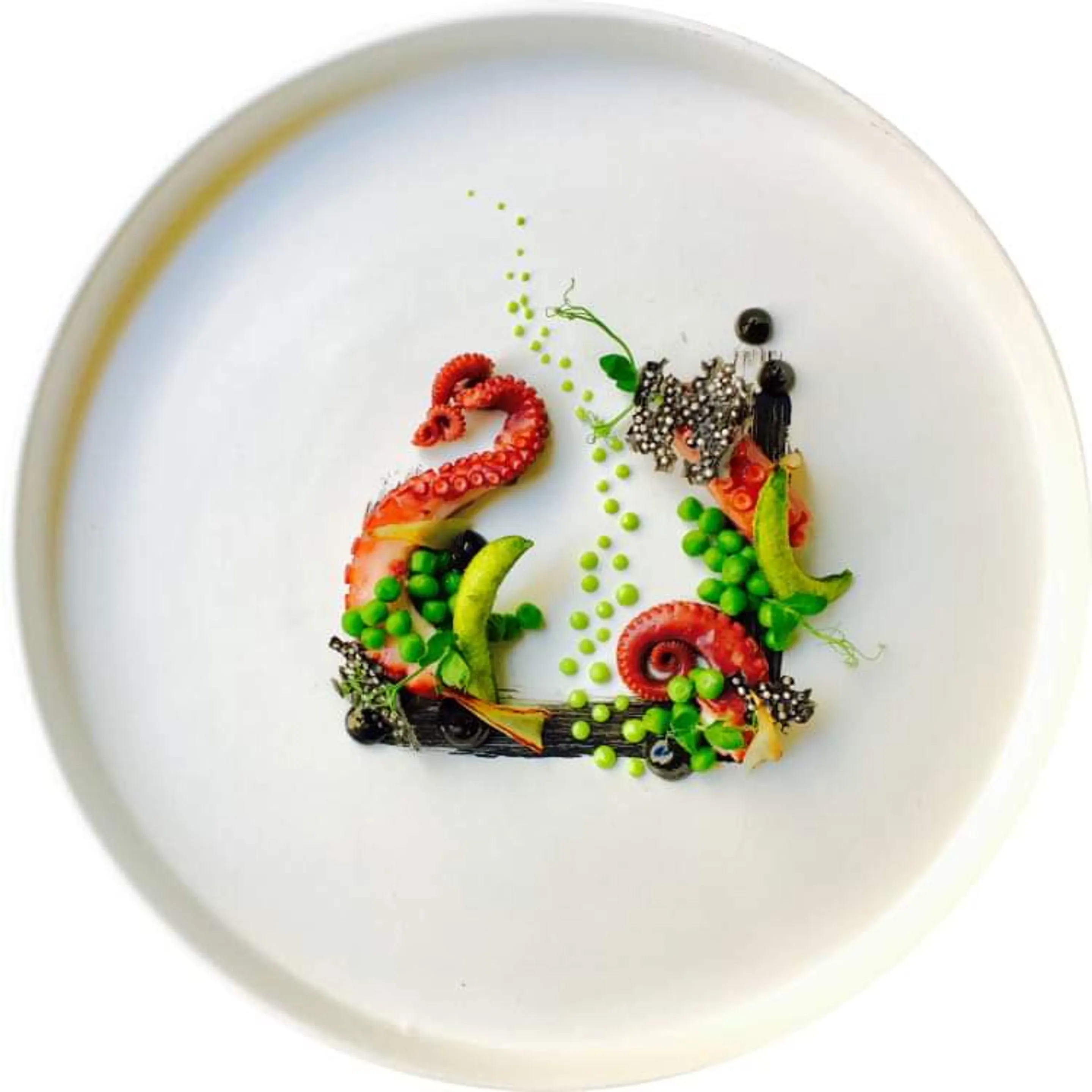 Plate Art – Oktopus